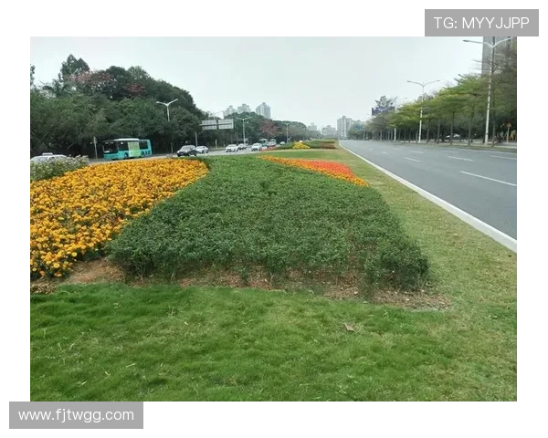 赛后分析：杭州篮球队与深圳篮球队的战术意识与表现对比